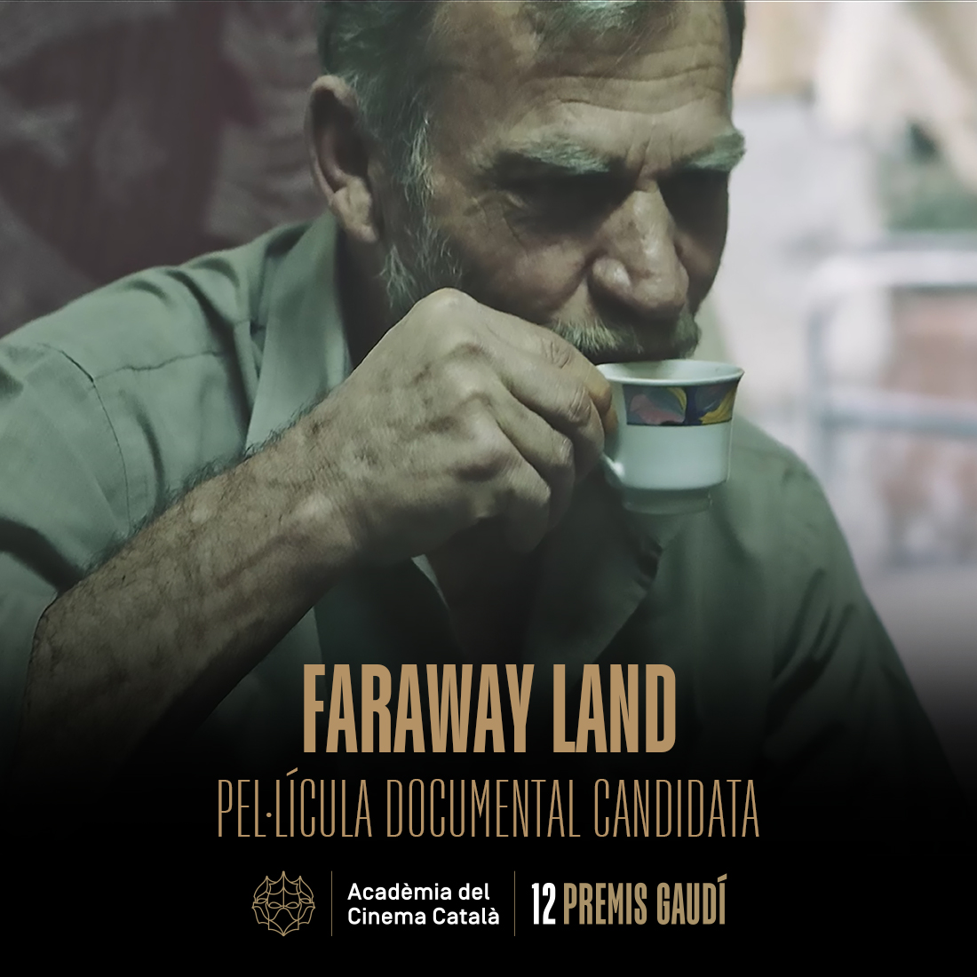 FARAWAY LAND